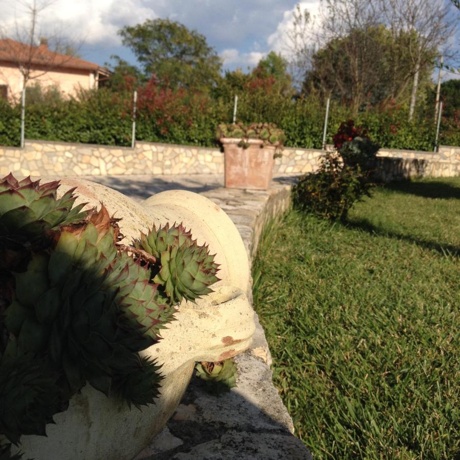 Bed and Breakfast Cherry House Bed&Breakfast Campobasso Exterior foto